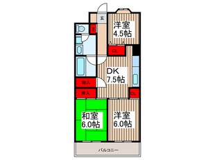 メゾンハクラクの物件間取画像